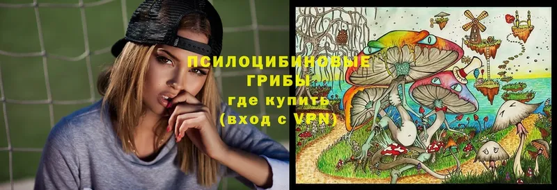 наркотики  Ладушкин  Галлюциногенные грибы мухоморы 